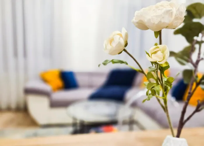Apartment The Soul Of